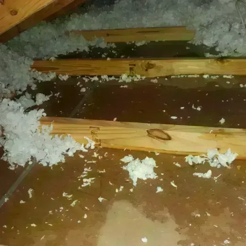 Attic Water Damage in Lancaster, CA